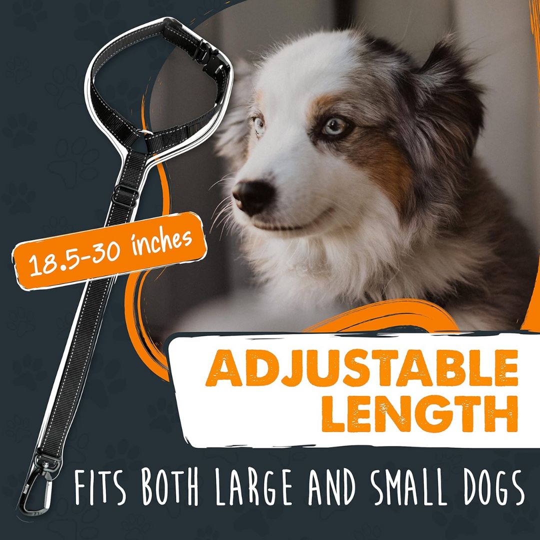 Dog safety car seatbelt. Adjustable, durable, and secure for all pet travel needs.