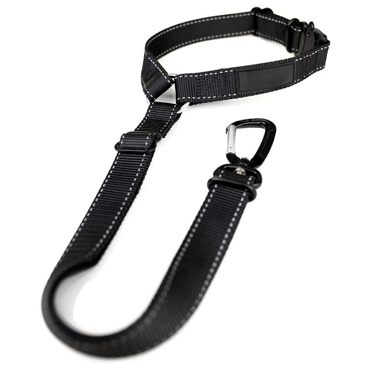 Instantly secure your dog with this adjustable pet car seatbelt for safe vehicle travel.