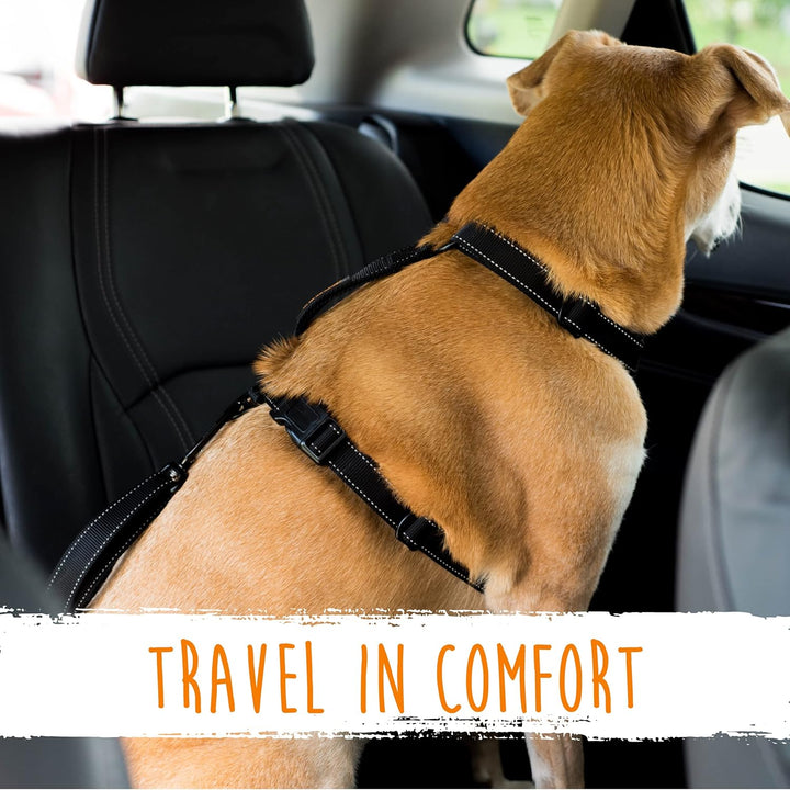 Pet safety dog car seatbelt, adjustable & durable for secure canine travel. Essential car accessory.