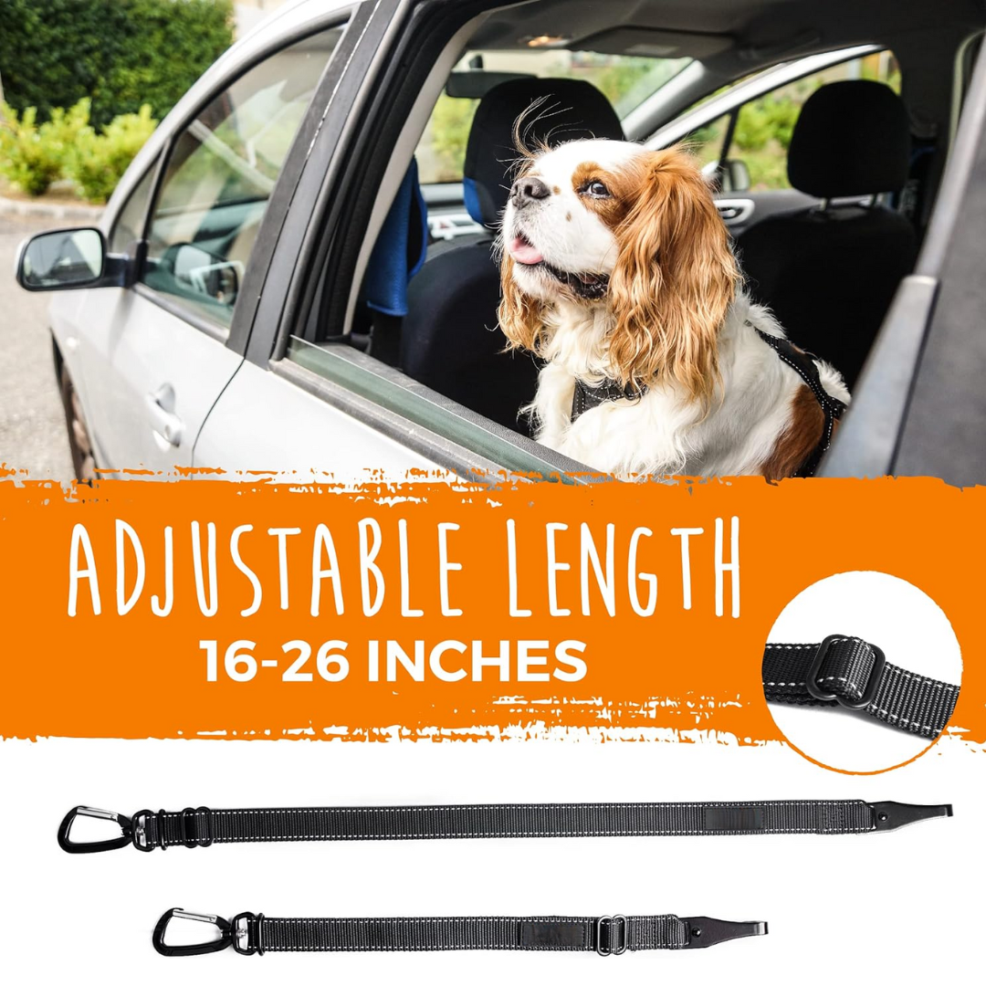 Dog car harness & seatbelt combo for ultimate pet safety and secure canine travel.