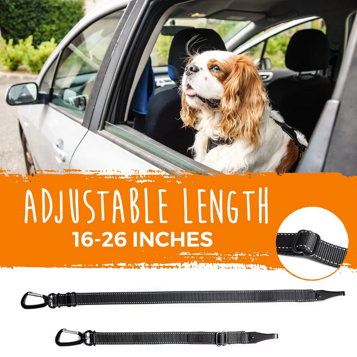 Dog car harness & seatbelt combo for ultimate pet safety and secure canine travel.