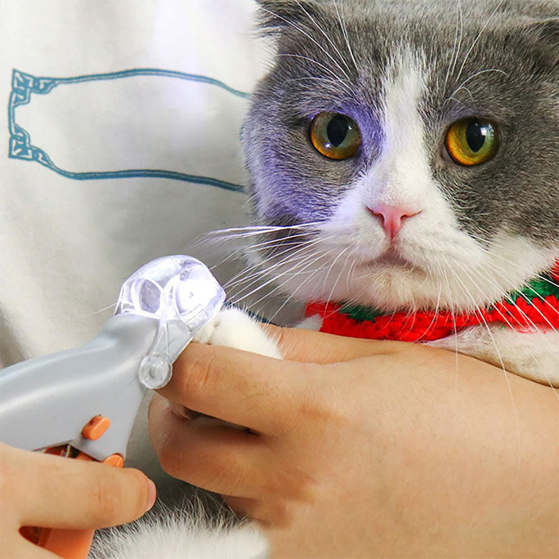 Dog nail clipper with LED light & quick sensor for safe, precise pet grooming.