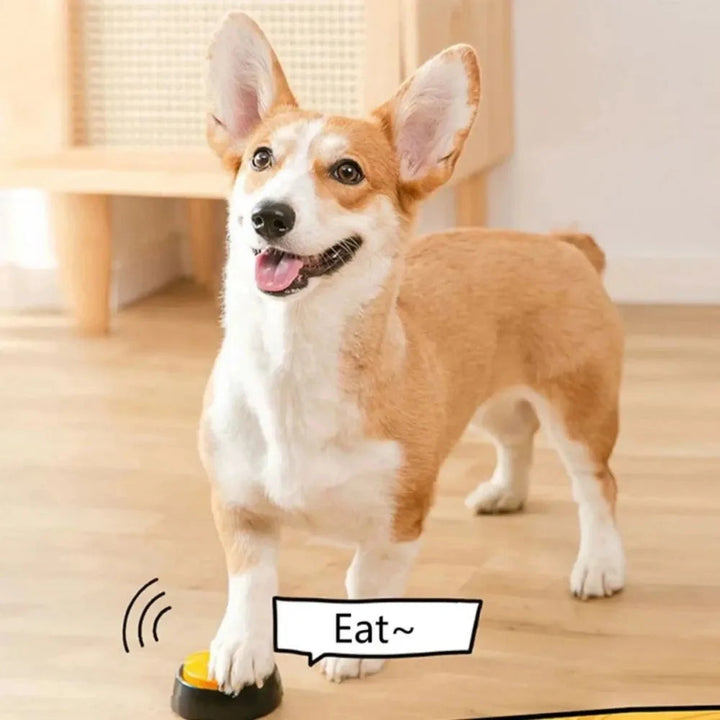Set of colorful dog talking buttons, essential dog supplies for pet communication & training.