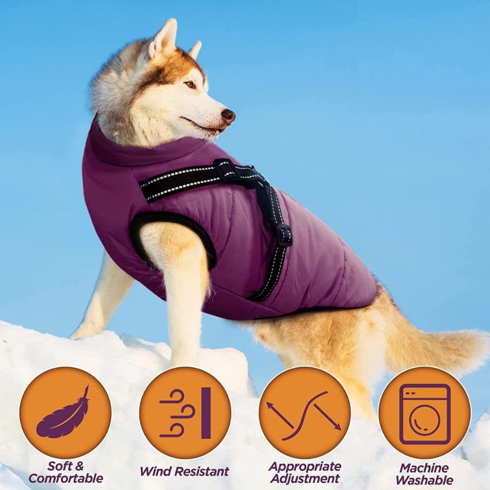 Warm waterproof dog jacket with built-in harness, perfect for rainy & snowy conditions.