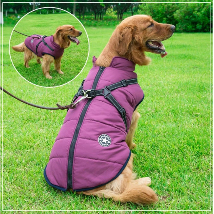 DryPaw dog's durable winter coat, waterproof with integrated harness for safe walks.