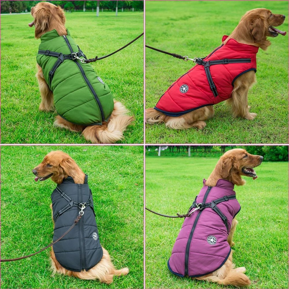 Waterproof raincoat for dogs, winter-ready with a convenient integrated harness design.