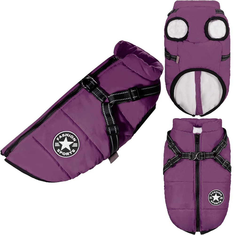 DryPaw warm dog coat & integrated harness. Waterproof winter pet gear for cold weather.