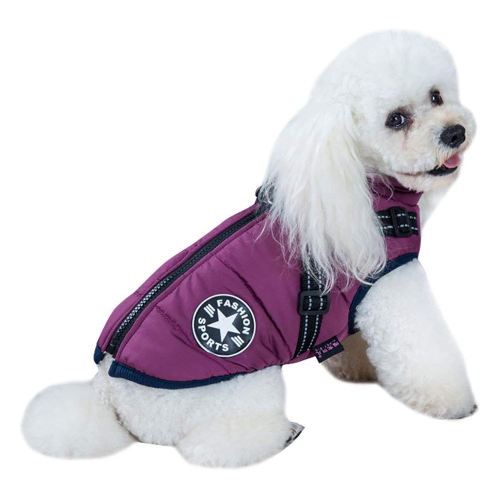 High-quality waterproof dog coat with integrated harness, essential for winter outdoor activities.