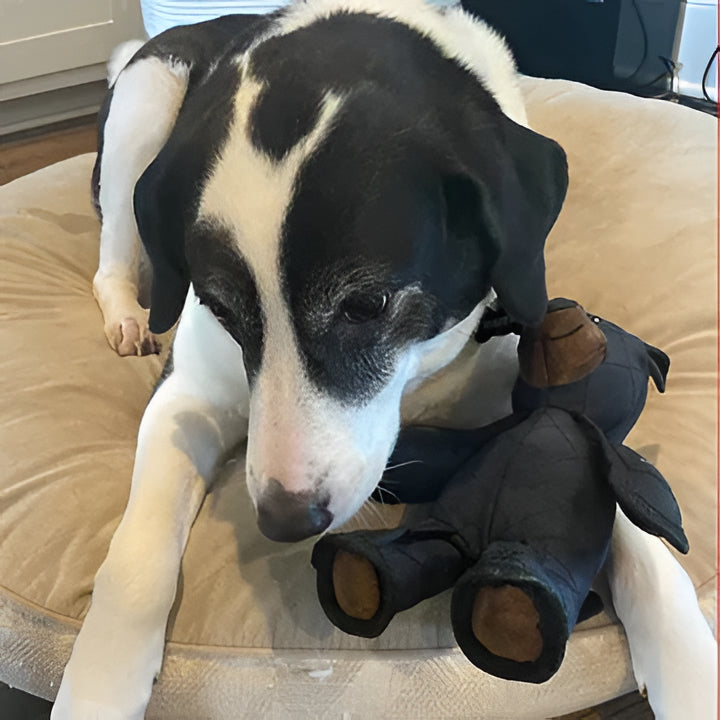 Heavy-duty bear dog toy, durable & indestructible for power chewers, an engaging pet toy designed for endless fun.
