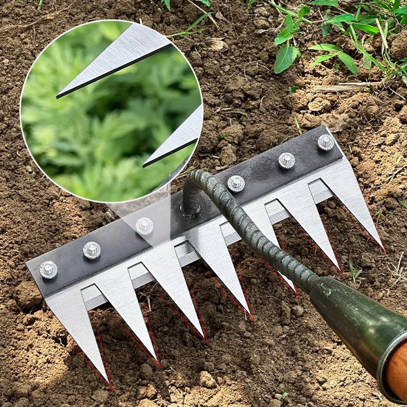 Durable carbon steel garden rake head for efficient lawn care, weeding, and soil scarifying.