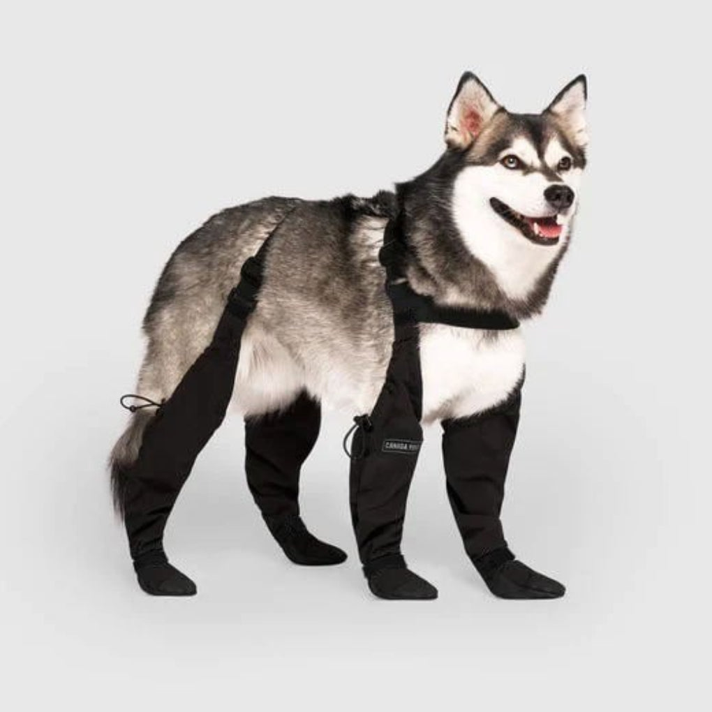 Durable dog paw protection boots for outdoor adventures. Anti-slip, all-season pet shoes for active dogs & hiking trails.