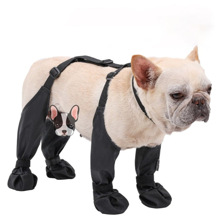 High-quality dog hiking boots for active dogs. All-season paw protection, durable pet shoes for all outdoor adventures.