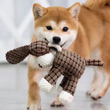 Long-lasting squeaky dog toy for tough chewers, offering dental benefits and stress relief for pets.