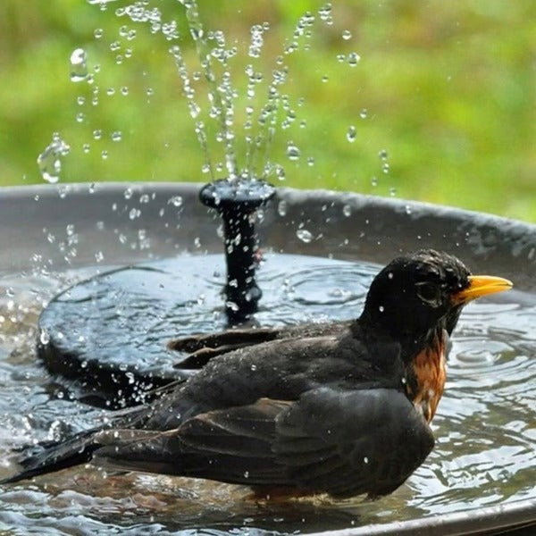 Versatile solar fountain, a great garden gift for ponds & bird baths, enhancing outdoor living decor.