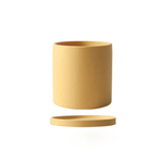 Ochre Yellow