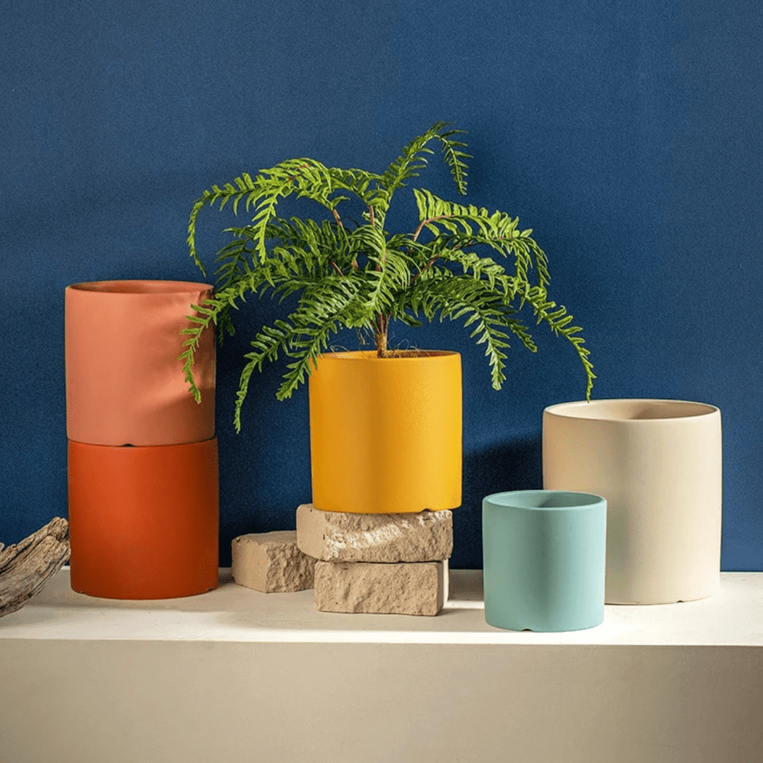 Stylish ceramic pot and saucer set, perfect for succulents & indoor plants.