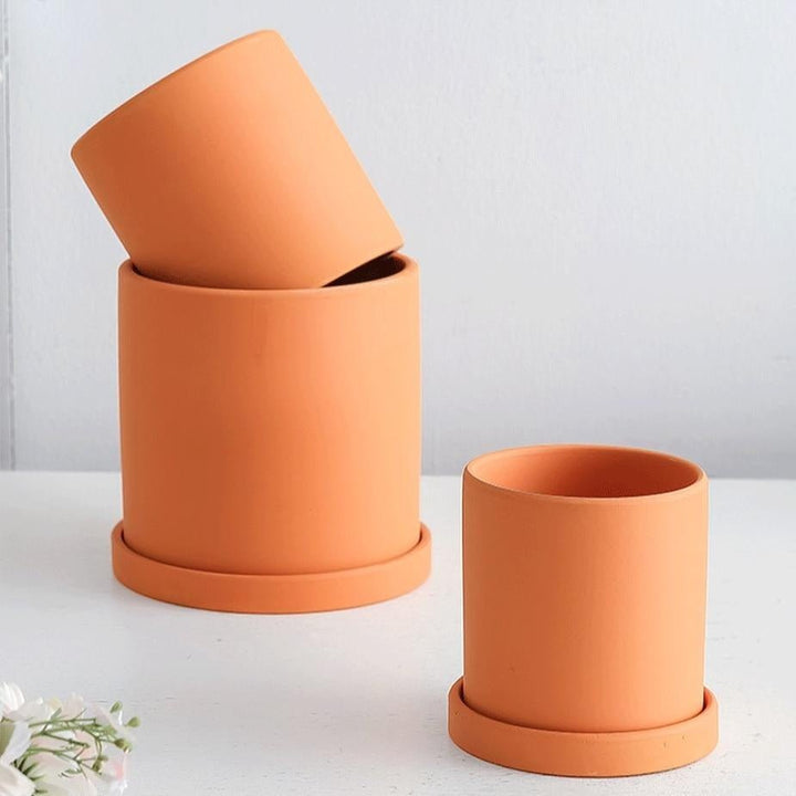 Decorative ceramic pot for small indoor plants, featuring a sleek, modern saucer.