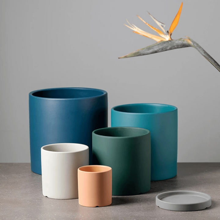 Ceramic planter for indoor use, complete with water-catching saucer and drainage.