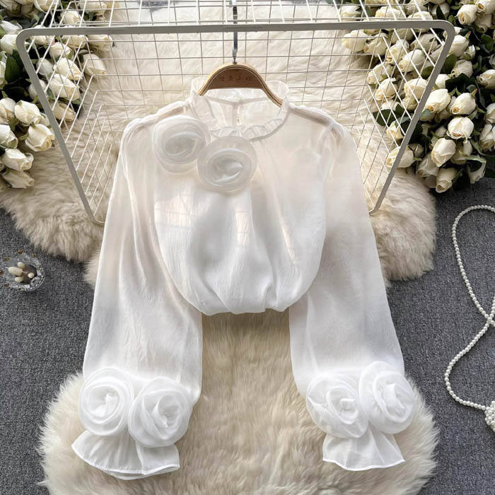 Chic women's elegant blouse, a stylish long sleeve top for spring fashion and versatile everyday wear.
