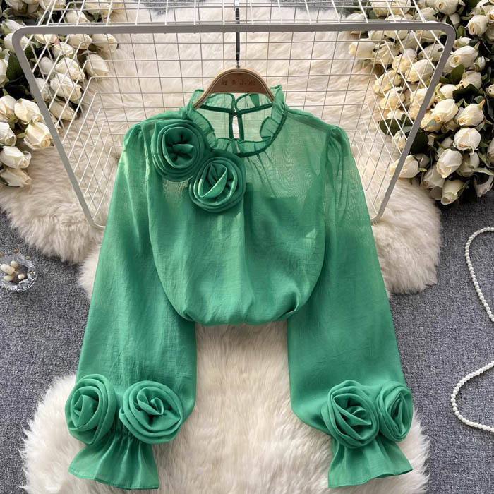 Women's elegant stylish loose fit blouse, a versatile long sleeve top for casual outings or work.