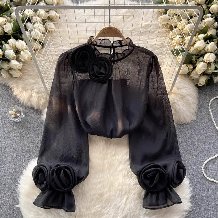 Effortless chic women's elegant stylish long sleeve blouse, a perfect versatile top for modern fashion.
