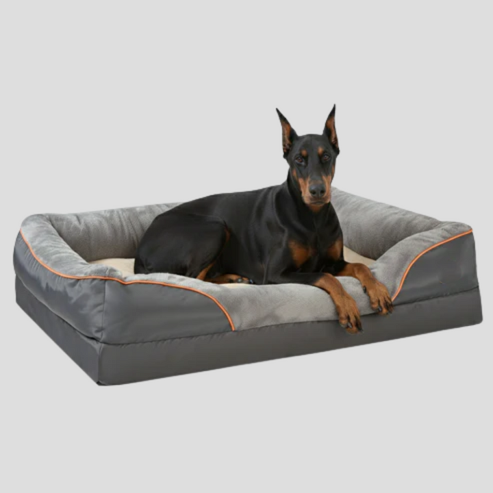Sleek grey extra-large memory foam orthopedic dog bed, offering superior comfort & joint support for large pets.