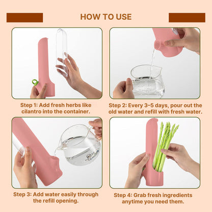 Portable food storage container for herbs and vegetables, a must-have kitchen organizer