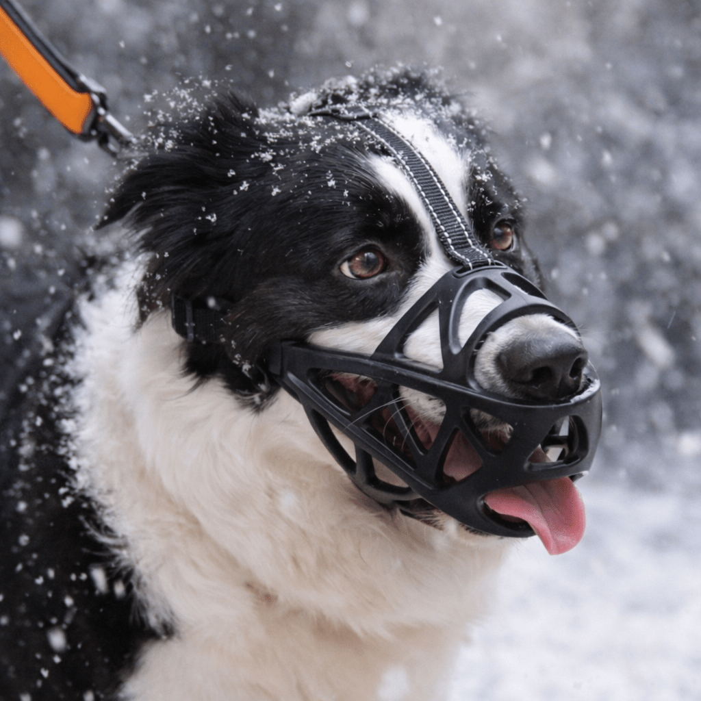 Gentle, breathable dog muzzle for comfortable training & safety, preventing barking & biting.