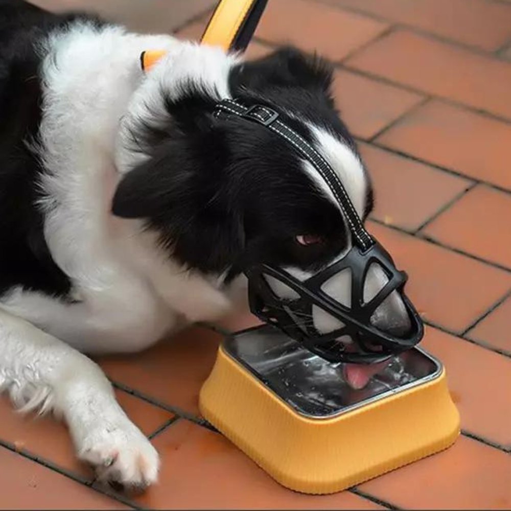 Stop barking & biting with this breathable dog muzzle. Gentle, comfortable, and effective for pet training.