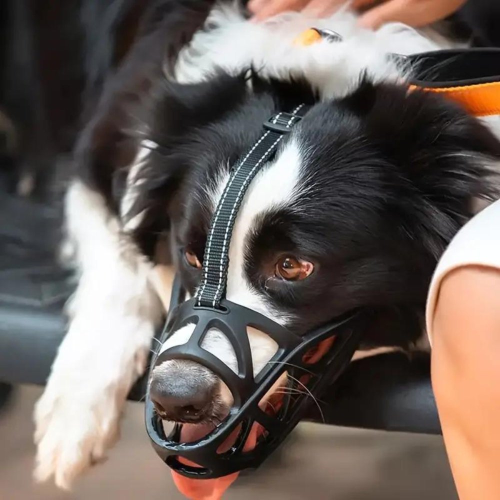 Comfortable & breathable dog muzzle, a lightweight pet accessory for gentle training and safety.