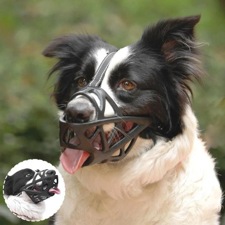 Dog's gentle, breathable muzzle for training, safety, and preventing barking. Comfortable & lightweight.