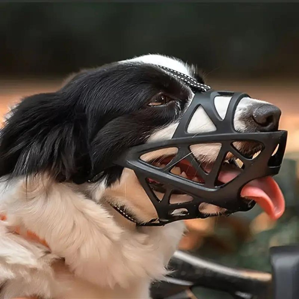 Secure, breathable dog muzzle designed for pet safety, training, and comfortable wear. Stops biting & barking.