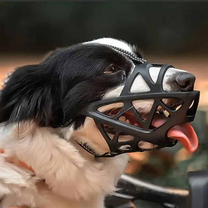 Secure, breathable dog muzzle designed for pet safety, training, and comfortable wear. Stops biting & barking.
