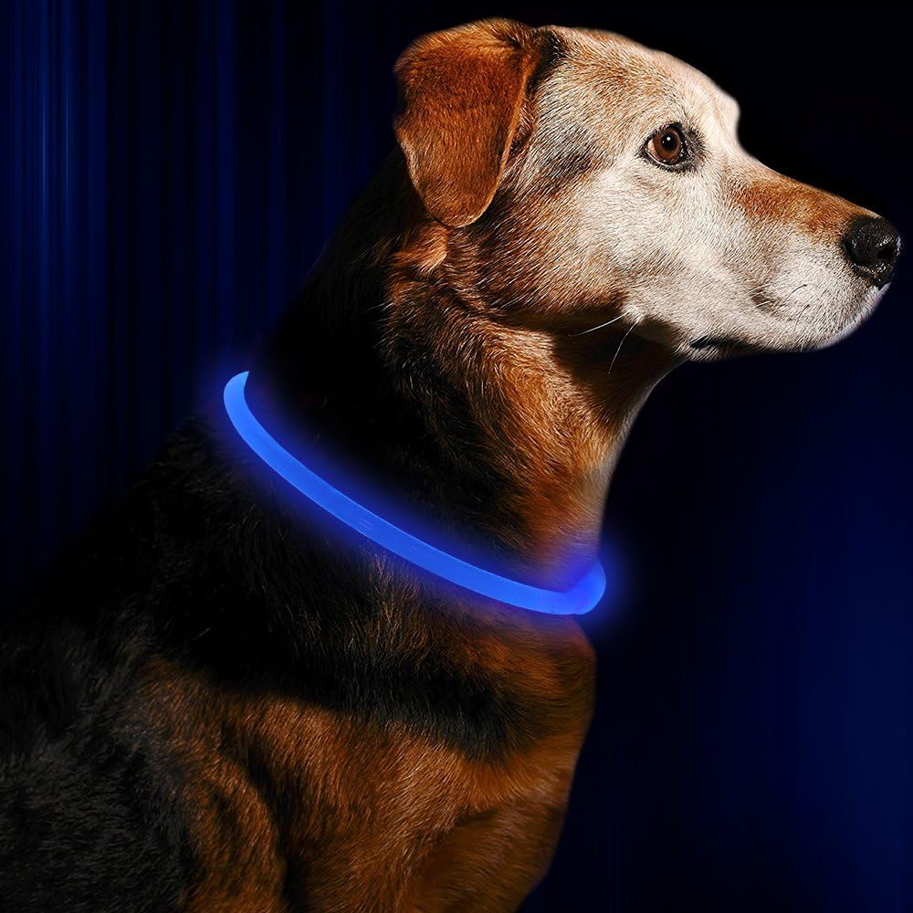 GlowSafe LED dog collar for enhanced pet safety during night walks. Rechargeable USB light.