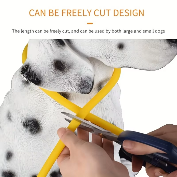 Innovative LED pet collar for dog safety. Rechargeable USB light for dark conditions.