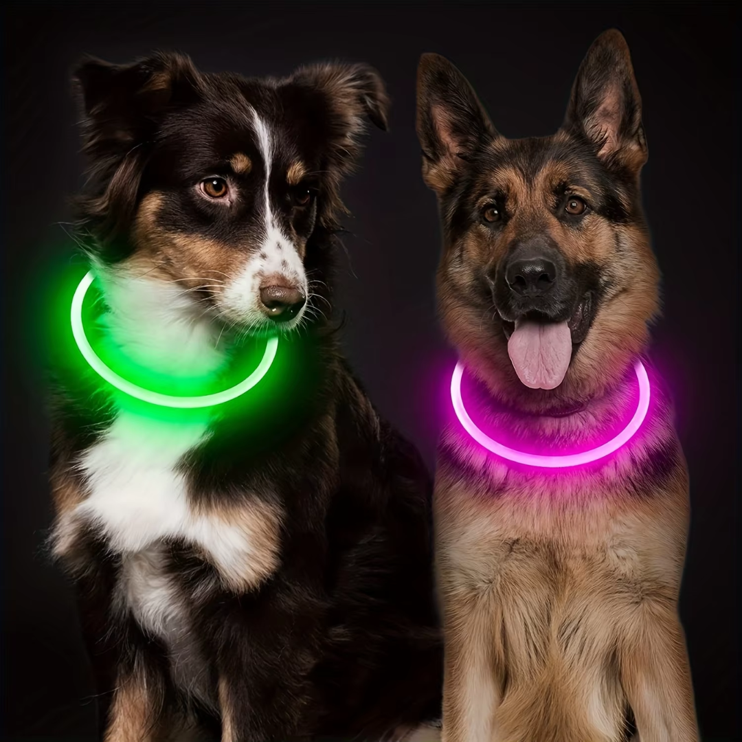 Essential pet gear: GlowSafe LED dog collar with USB charging for bright night visibility.