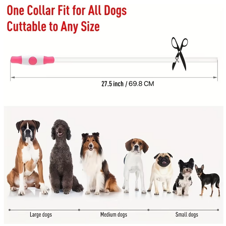 Light-up dog collar for night walks. Rechargeable LED enhances pet safety and visibility.