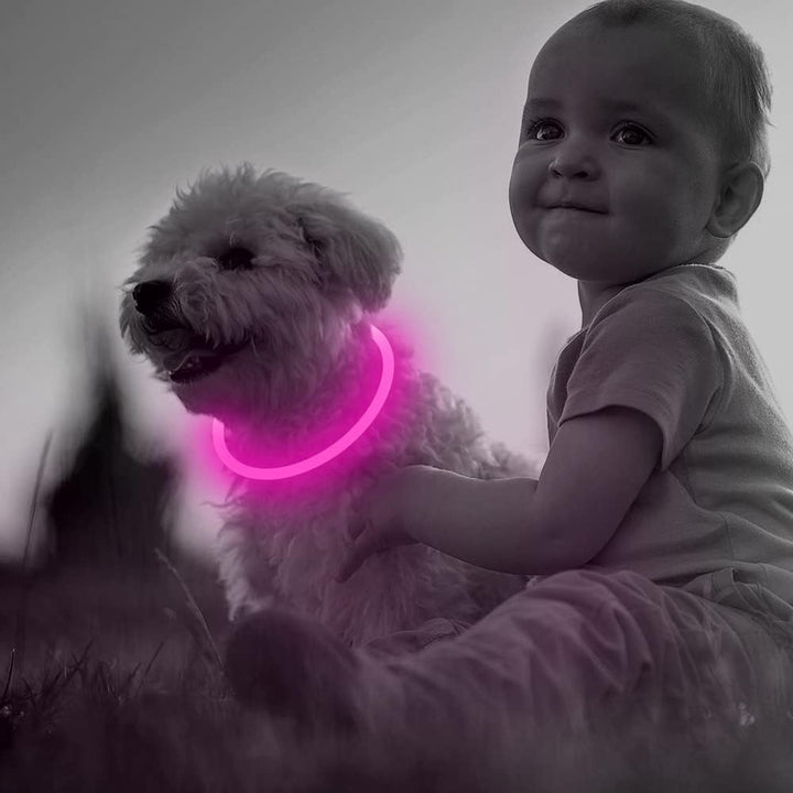 Durable USB rechargeable LED dog collar. Keeps your pet safe & seen during night walks.