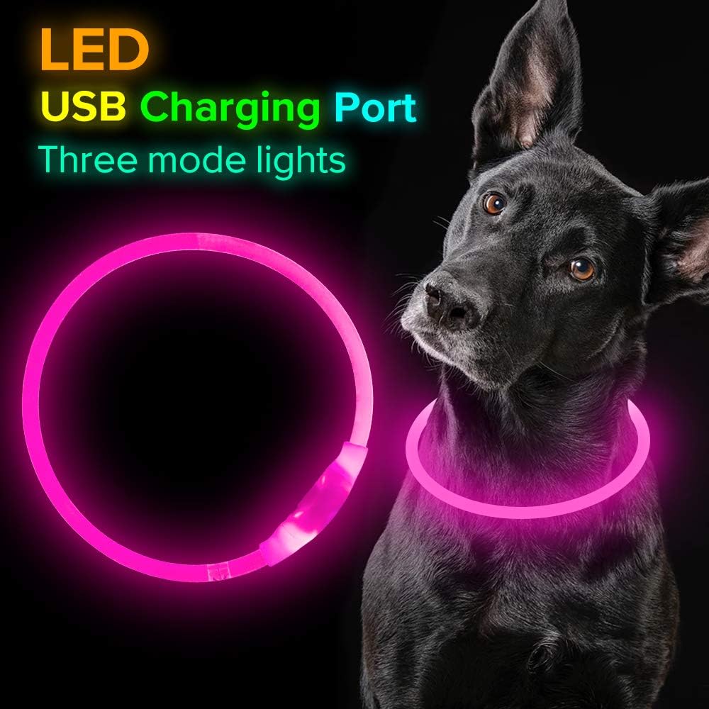 Bright LED dog collar, a crucial pet safety light. Rechargeable for peace of mind.