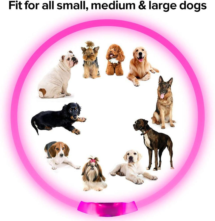 High-quality GlowSafe LED dog collar, ensuring maximum visibility for your pet at night.