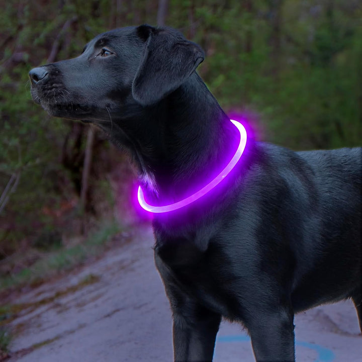 Bright LED dog collar ensures visibility for pets at night. Rechargeable via USB.