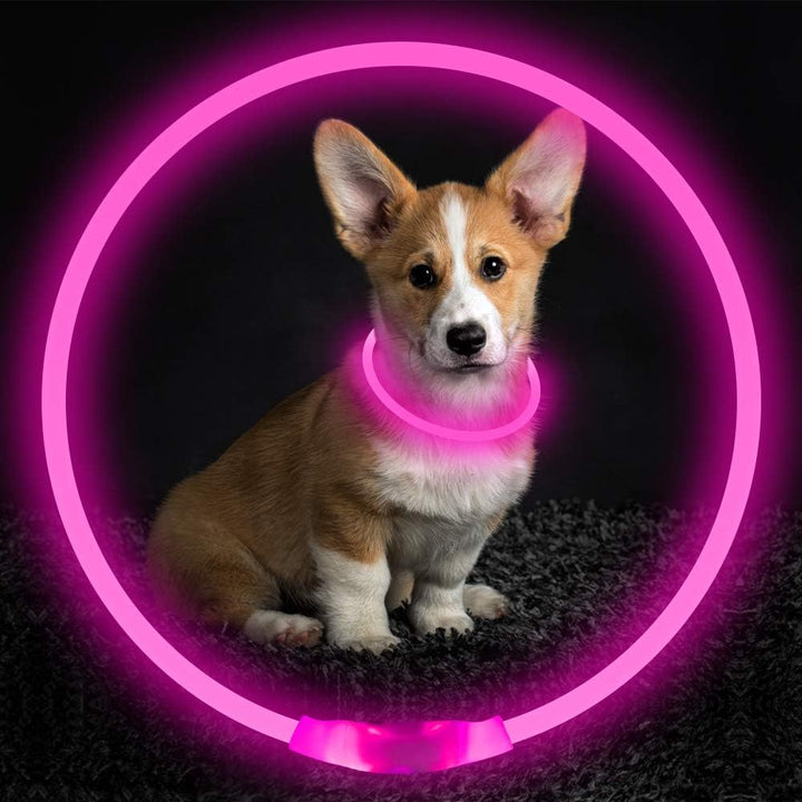 Rechargeable GlowSafe LED dog collar providing bright, reliable pet safety in low light.