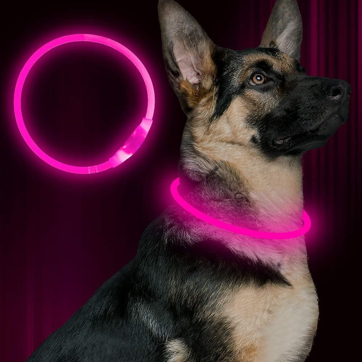 Visible dog collar: GlowSafe LED pet accessory, rechargeable for night safety and walks.