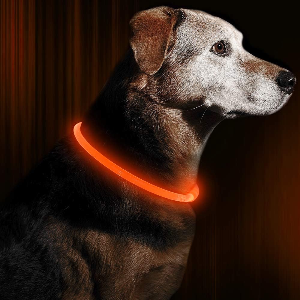 Unisex GlowSafe LED dog collar; essential pet safety gear for dark walks.