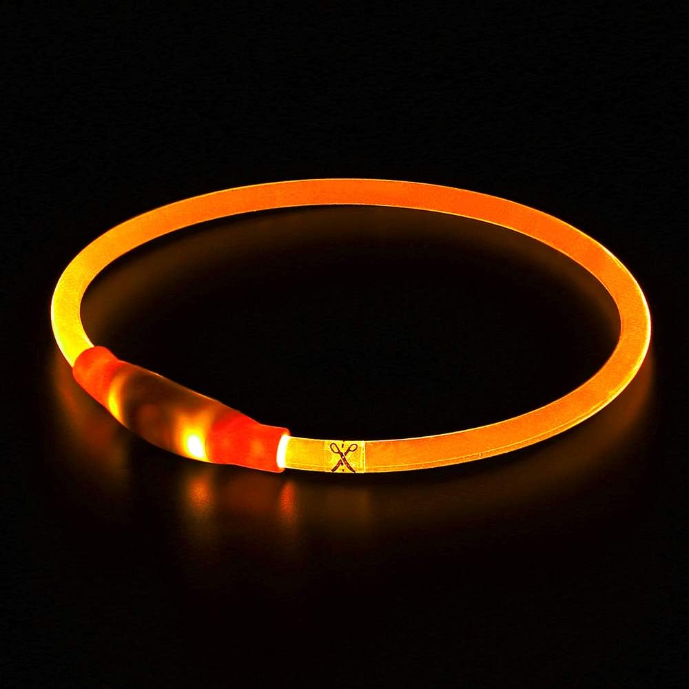 Rechargeable LED pet collar for ultimate dog visibility and safety after dark.