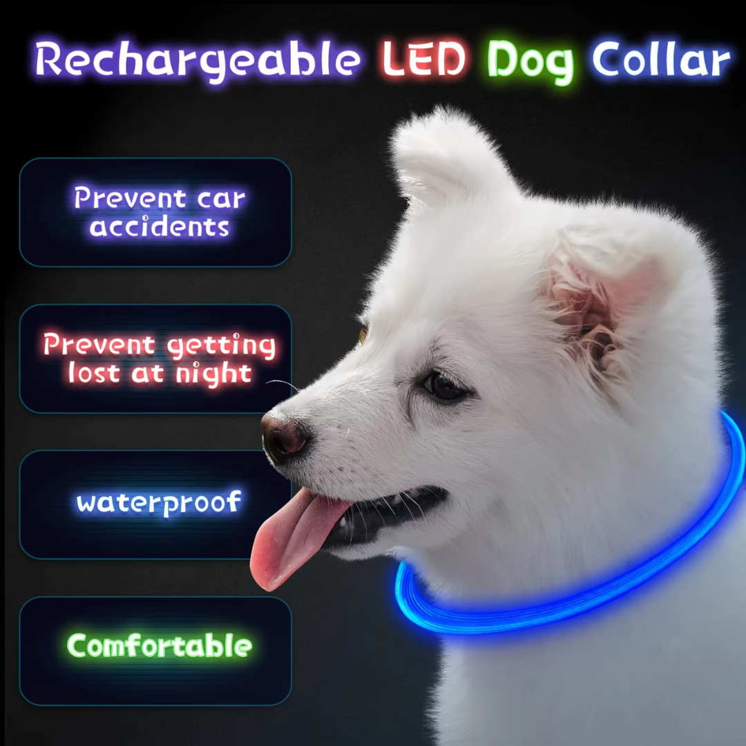 High-visibility LED dog collar, a must-have pet accessory for night time safety.