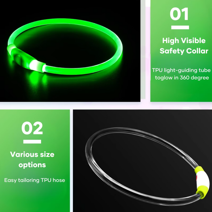 USB rechargeable LED dog collar, providing glowing safety for your beloved pet at night.
