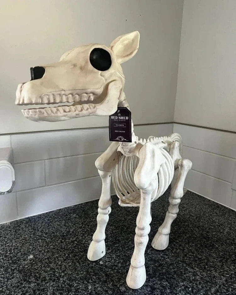Detailed cow skeleton prop for Halloween. Unique spooky animal decor, perfect for festive party displays.