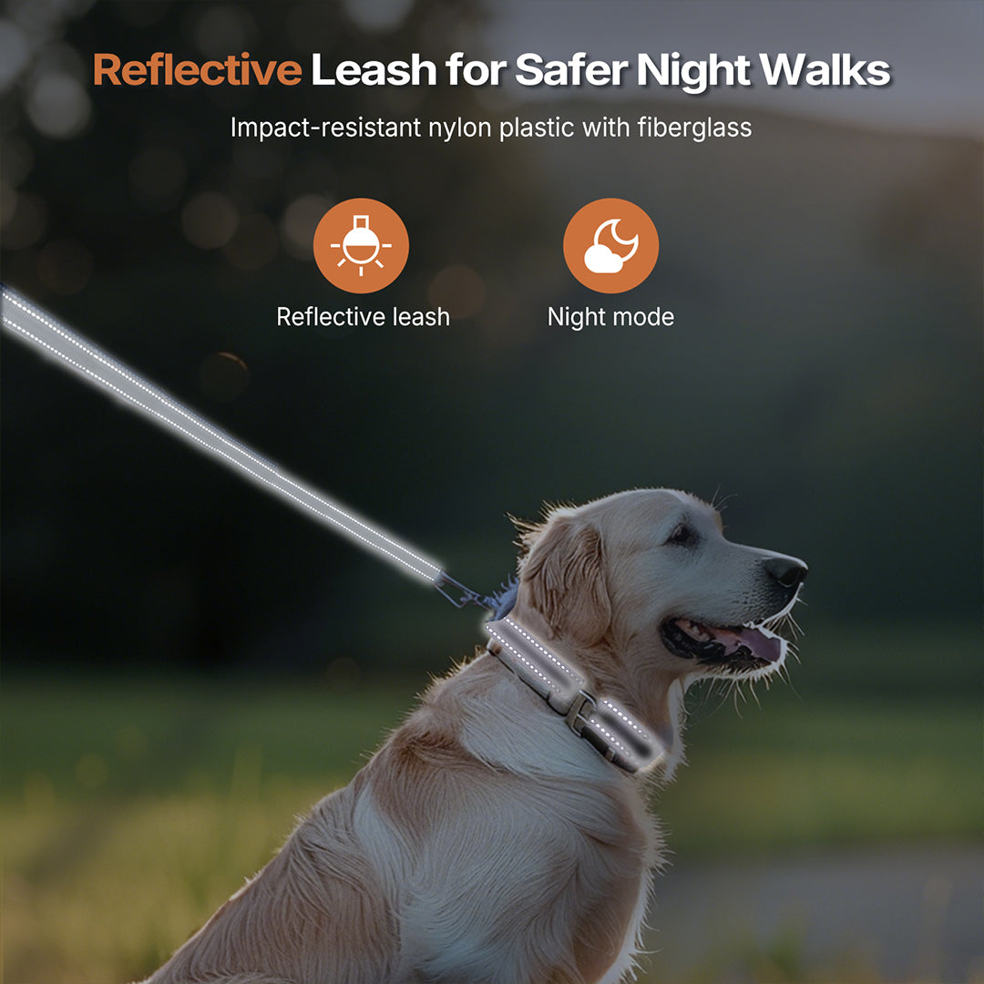 Dog leash set showing heavy-duty retractable leash, built for durability and control