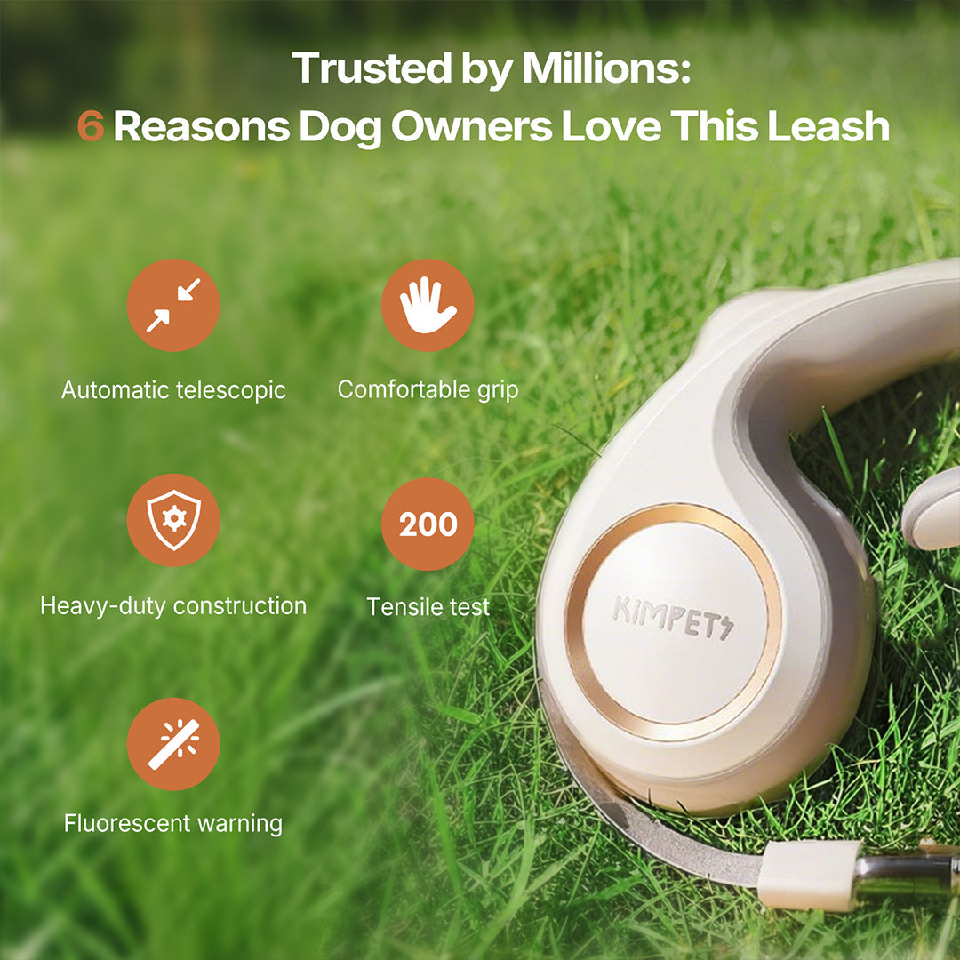 Heavy-duty dog leash with anti-tangle mechanism and robust metal clasp on white background